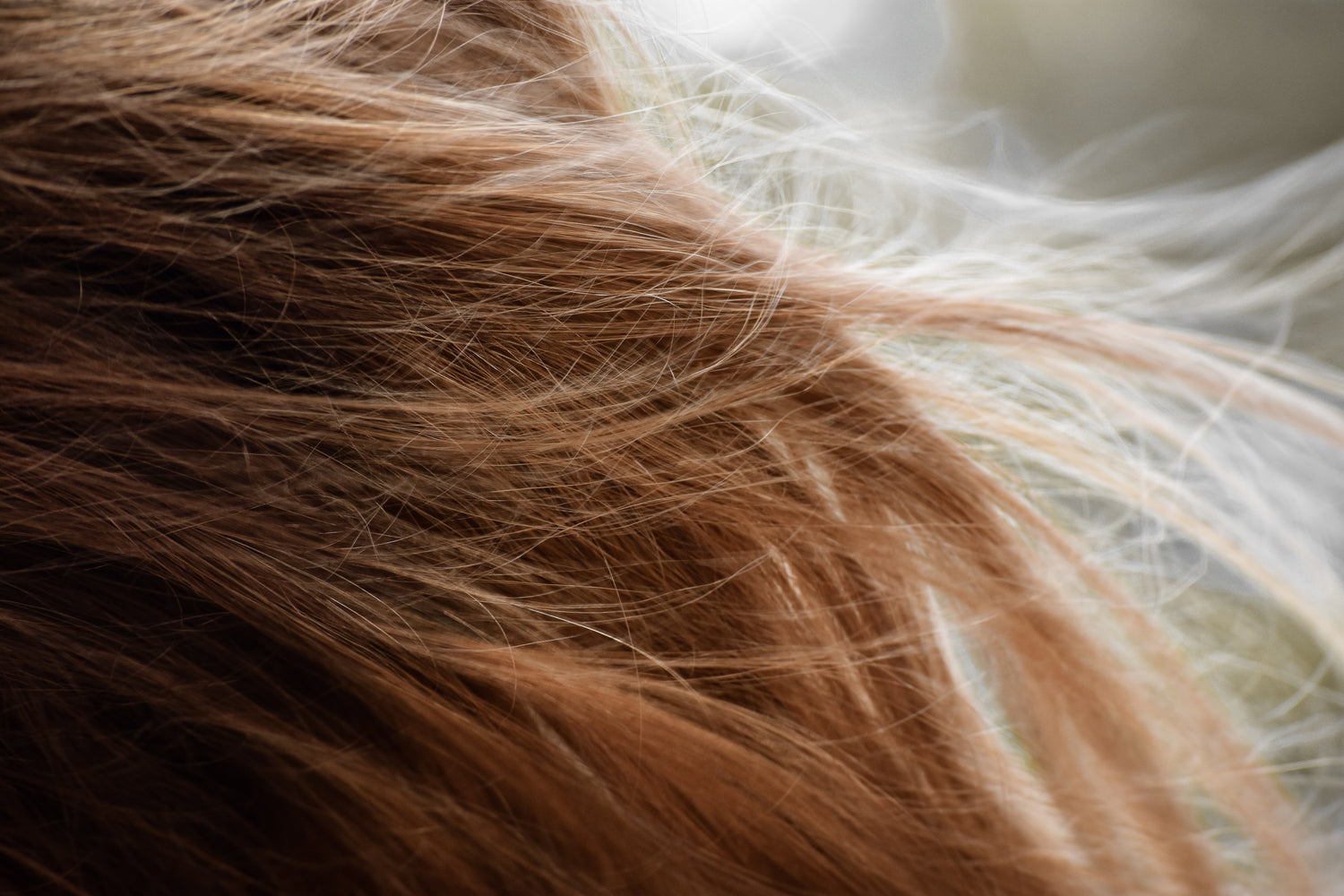 How to repair and prevent split ends, expert advice