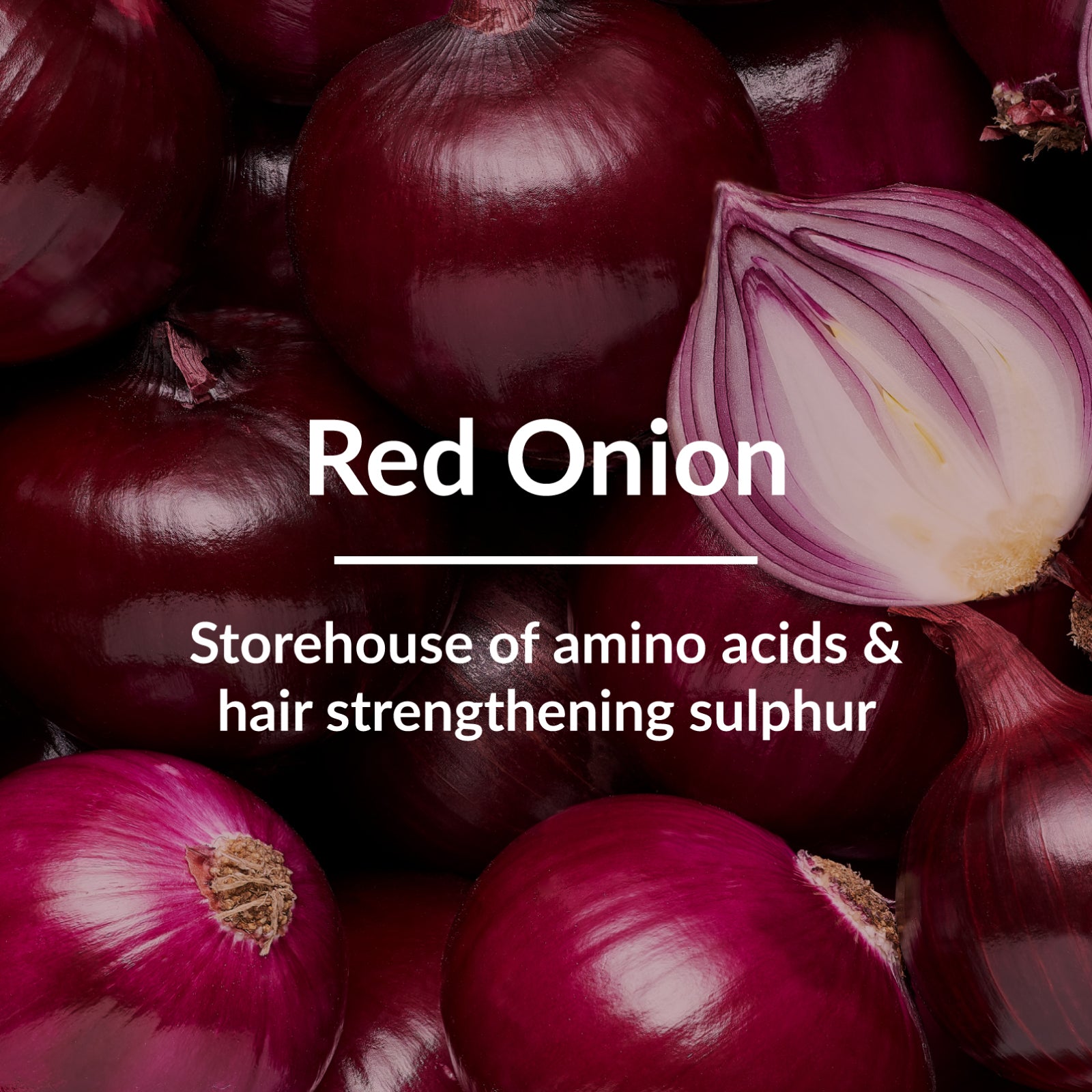 Red Onion Anti HairFall Kit - Natural hair care solution with red onion extract for combating hair loss