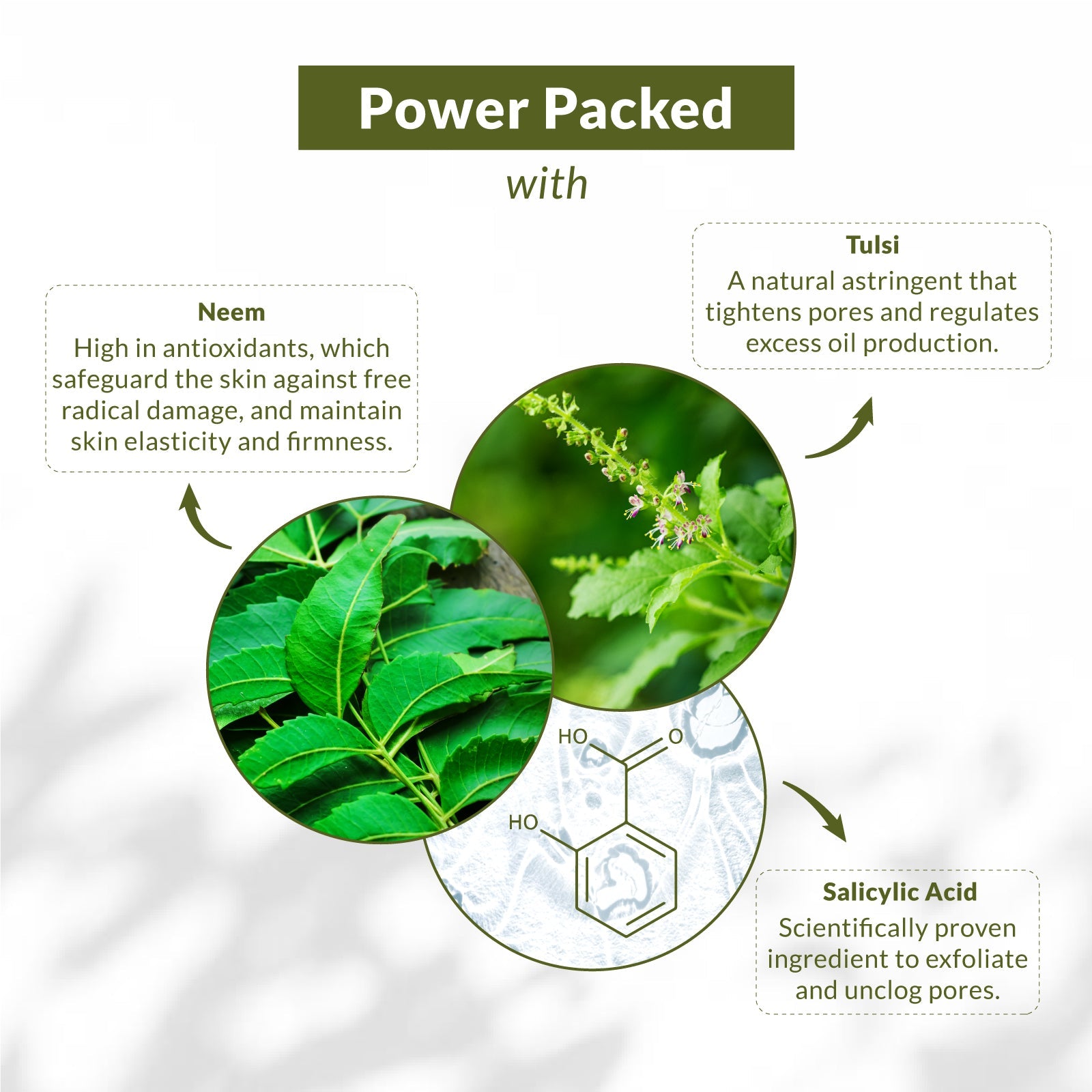 Neem Tulsi Salicylic Acid Gentle Foaming Face Wash - Cleansing and Purifying Facial Cleanser with Natural Ingredients