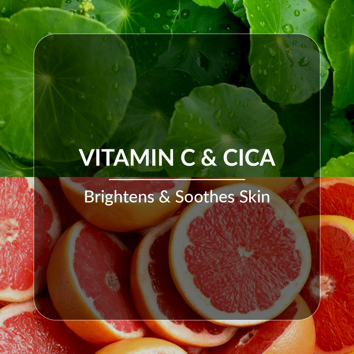 Vitamin C & CICA Illuminating Face Cream