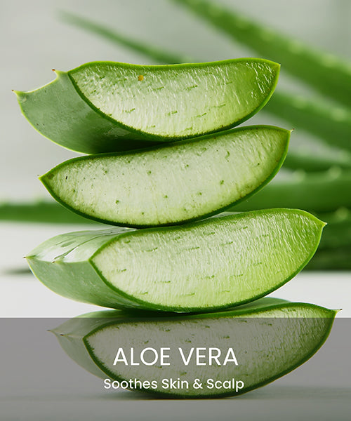 Aloevera