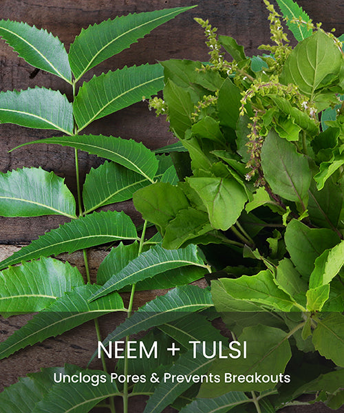 Neem-Tulsi