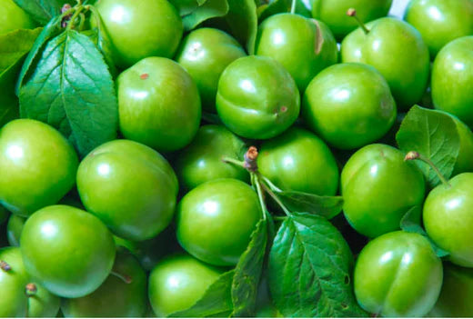Kakadu Plum (Terminalia Ferdinandiana) - Newest Vital Component For Skincare