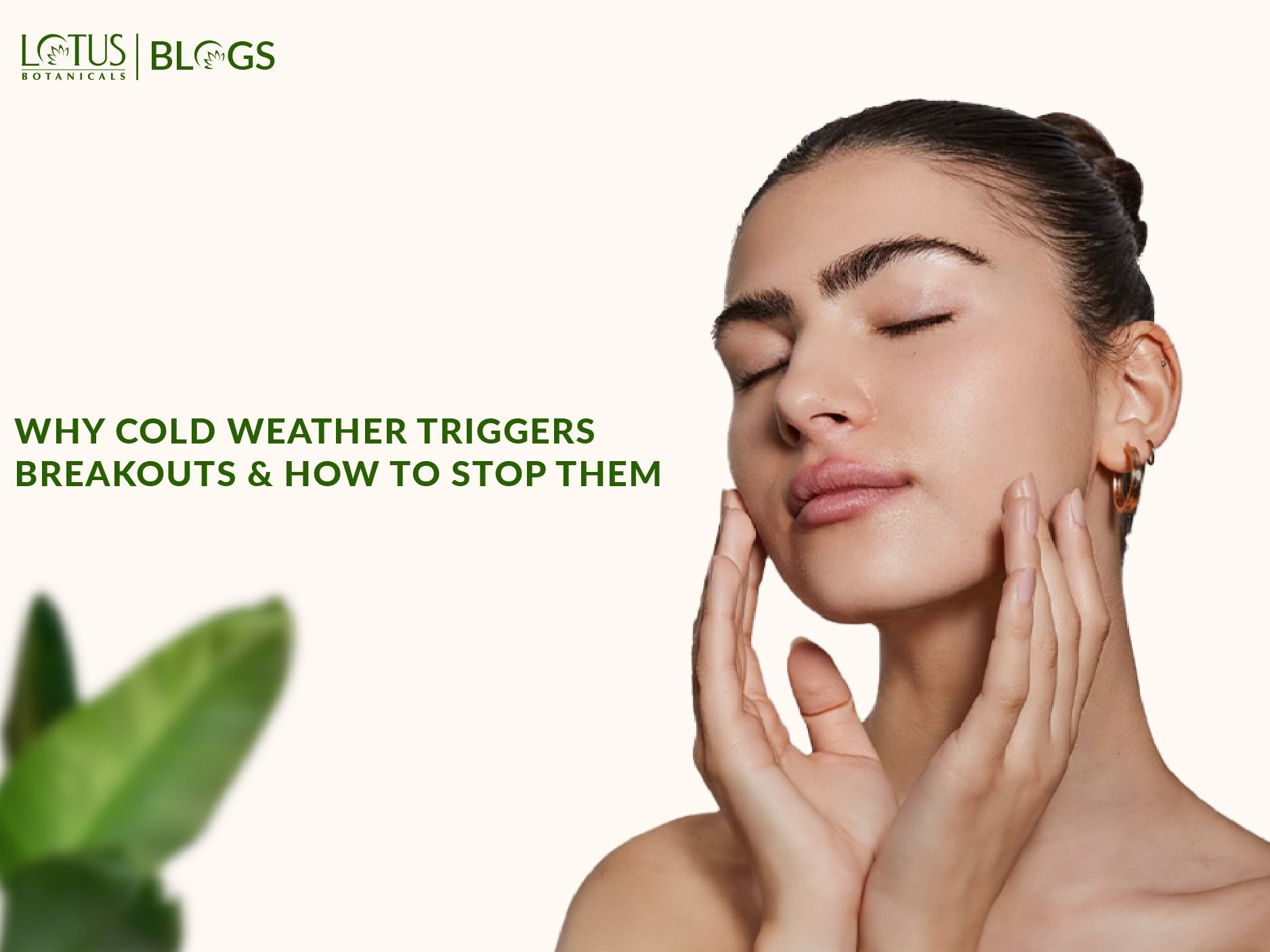Keep Winter Acne Away with Lotus Botanicals Niacinamide Products