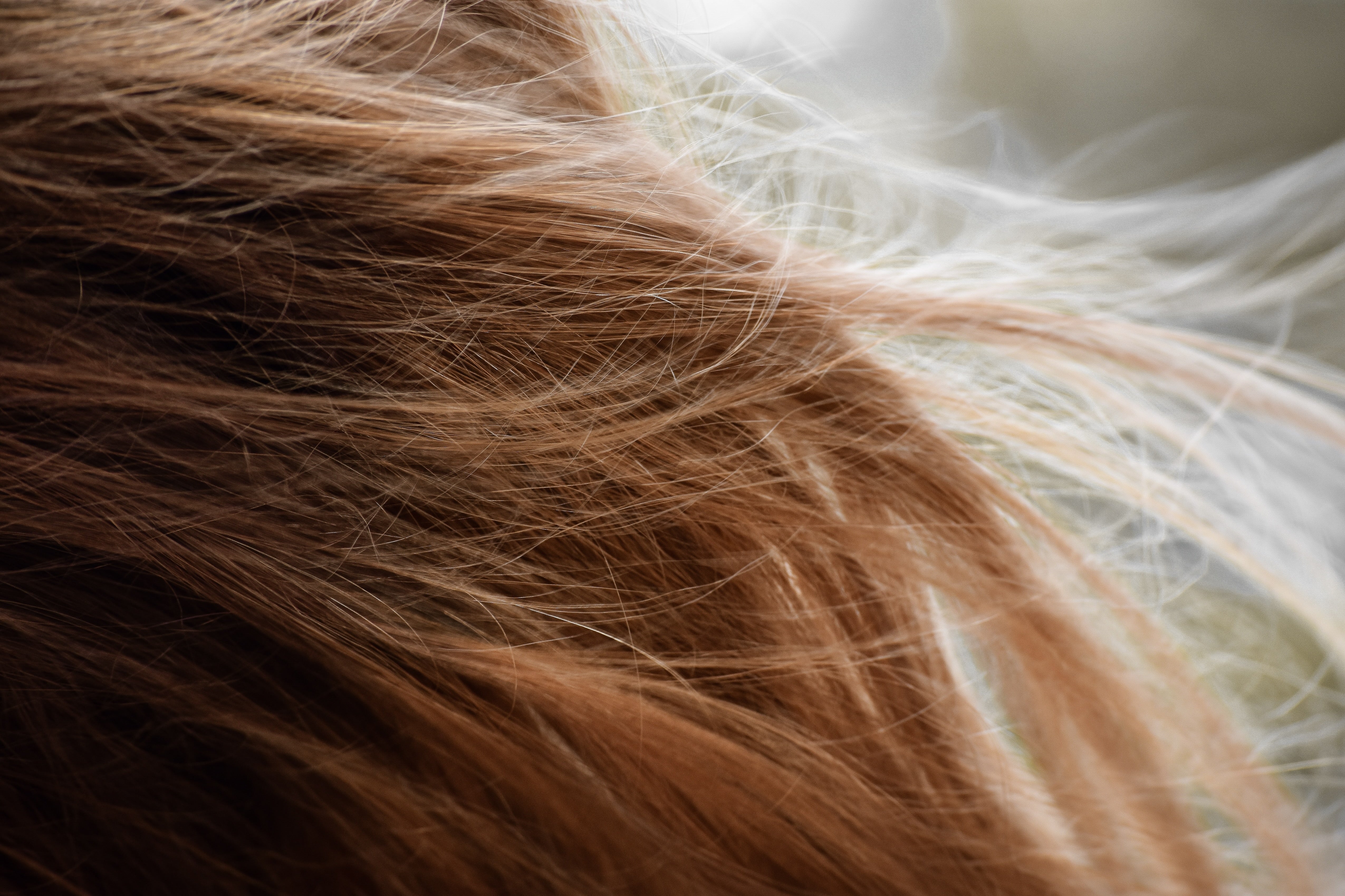 8 Best Hairstyles For Healthy Hair: Start Avoiding Damage
