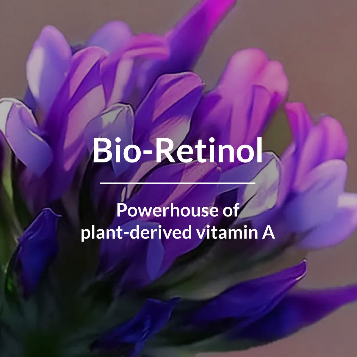 Bio-Retinol Anti-Ageing Combo - Natural skincare products for reducing wrinkles and promoting youthful skin