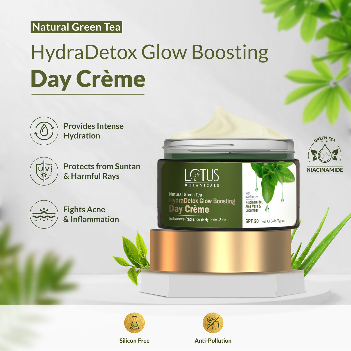 Revitalize Your Skin with Green Tea Hydra Moisture Combo - Experience ...