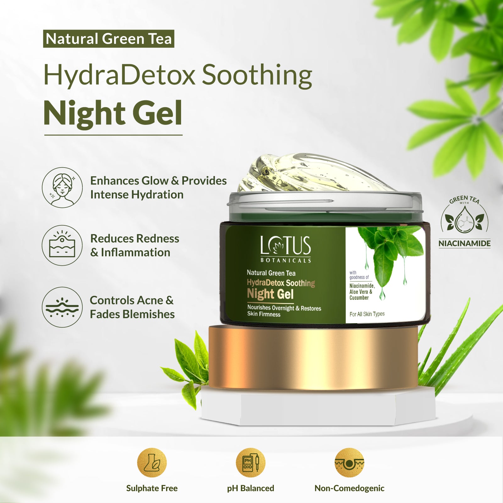 Refreshing Green Tea Hydra Moisture Combo for Hydrated and Nourished Skin