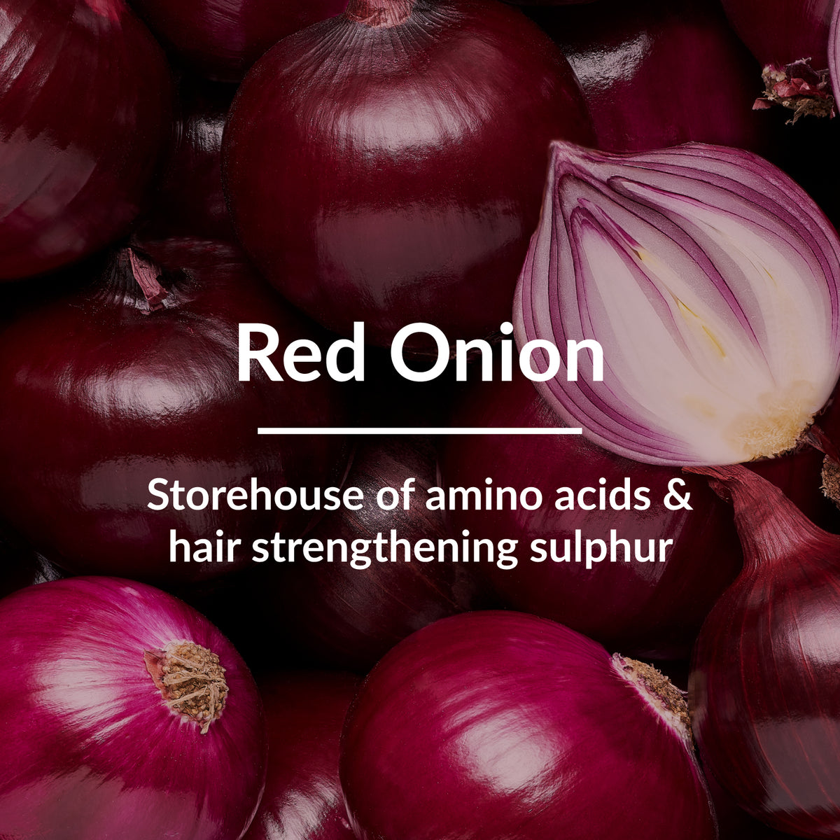 Red Onion Hair-Fall Control Shampoo