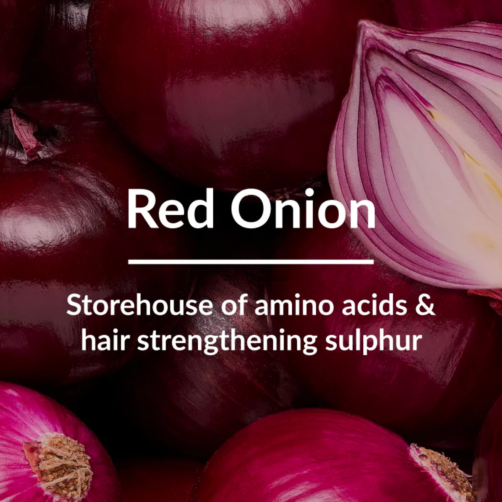 Image of Red Onion Hair-Fall Control* Hair Oil: A natural solution for reducing hair fall and promoting hair growth