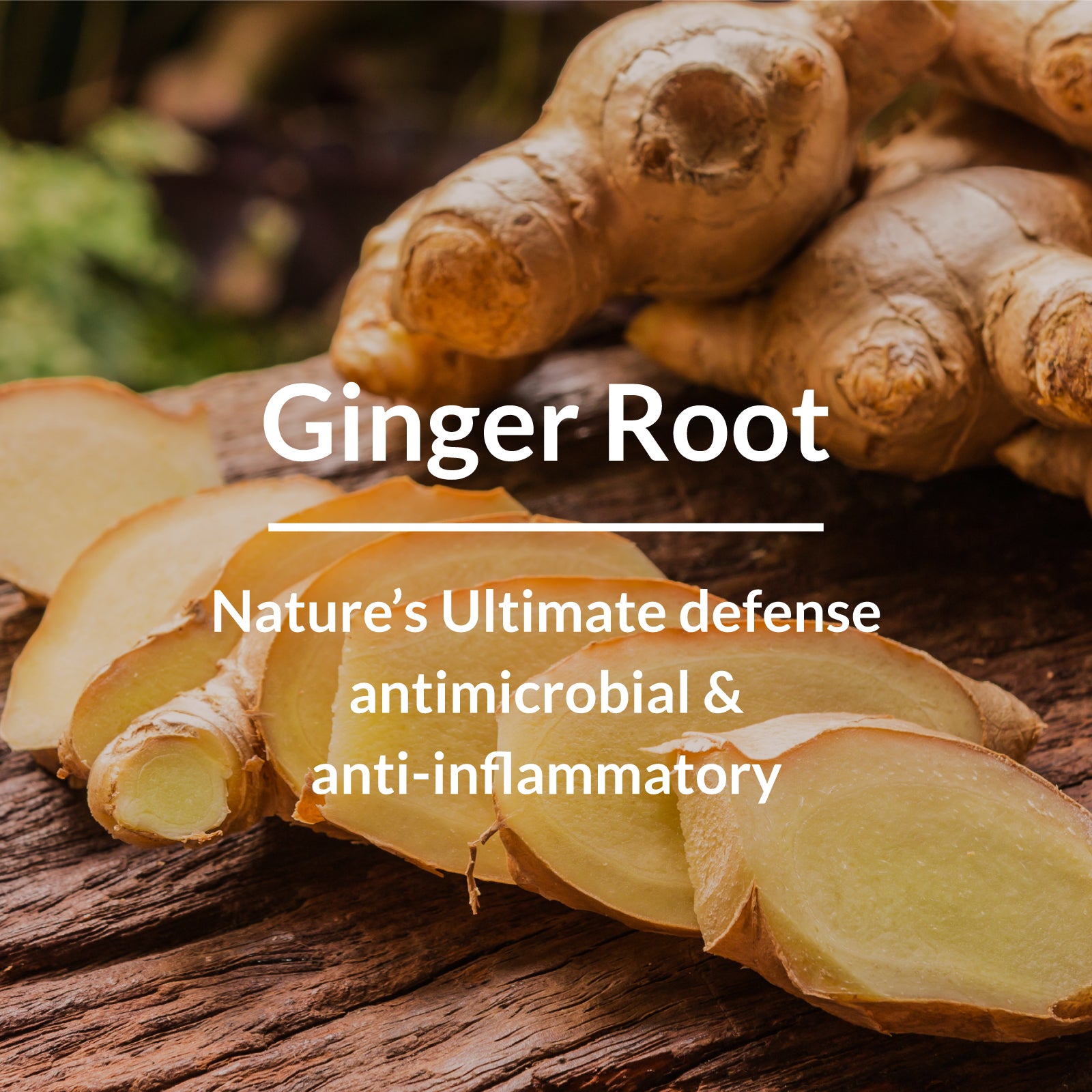 Ginger Root Dandruff-Control Shampoo - Natural Anti-Dandruff Treatment for Healthy Scalp and Hair