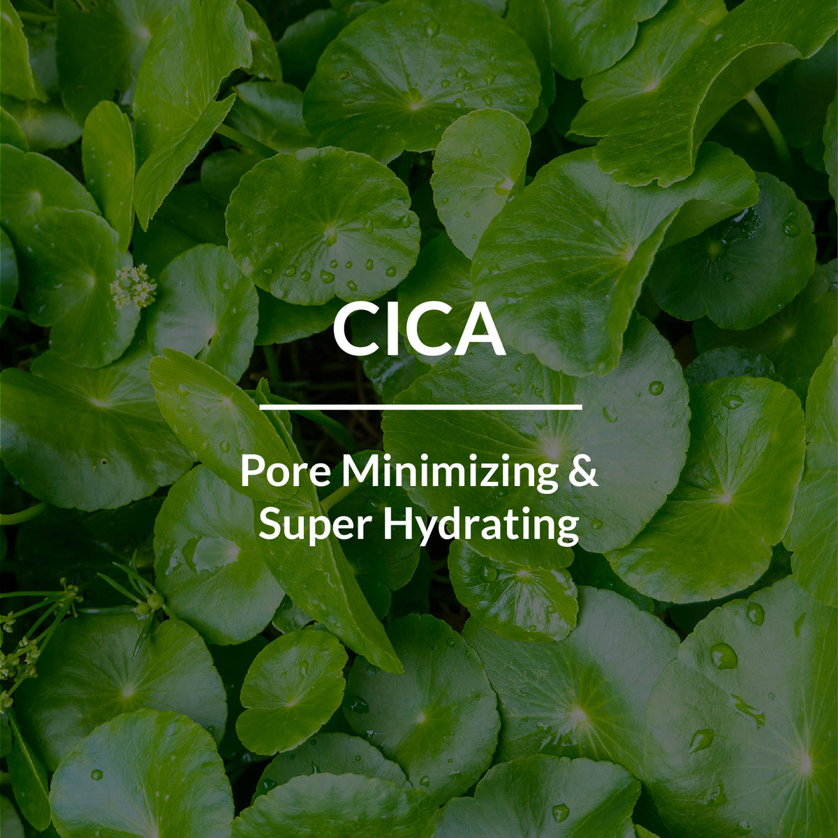 CICA Pore Minimizing Face Gel