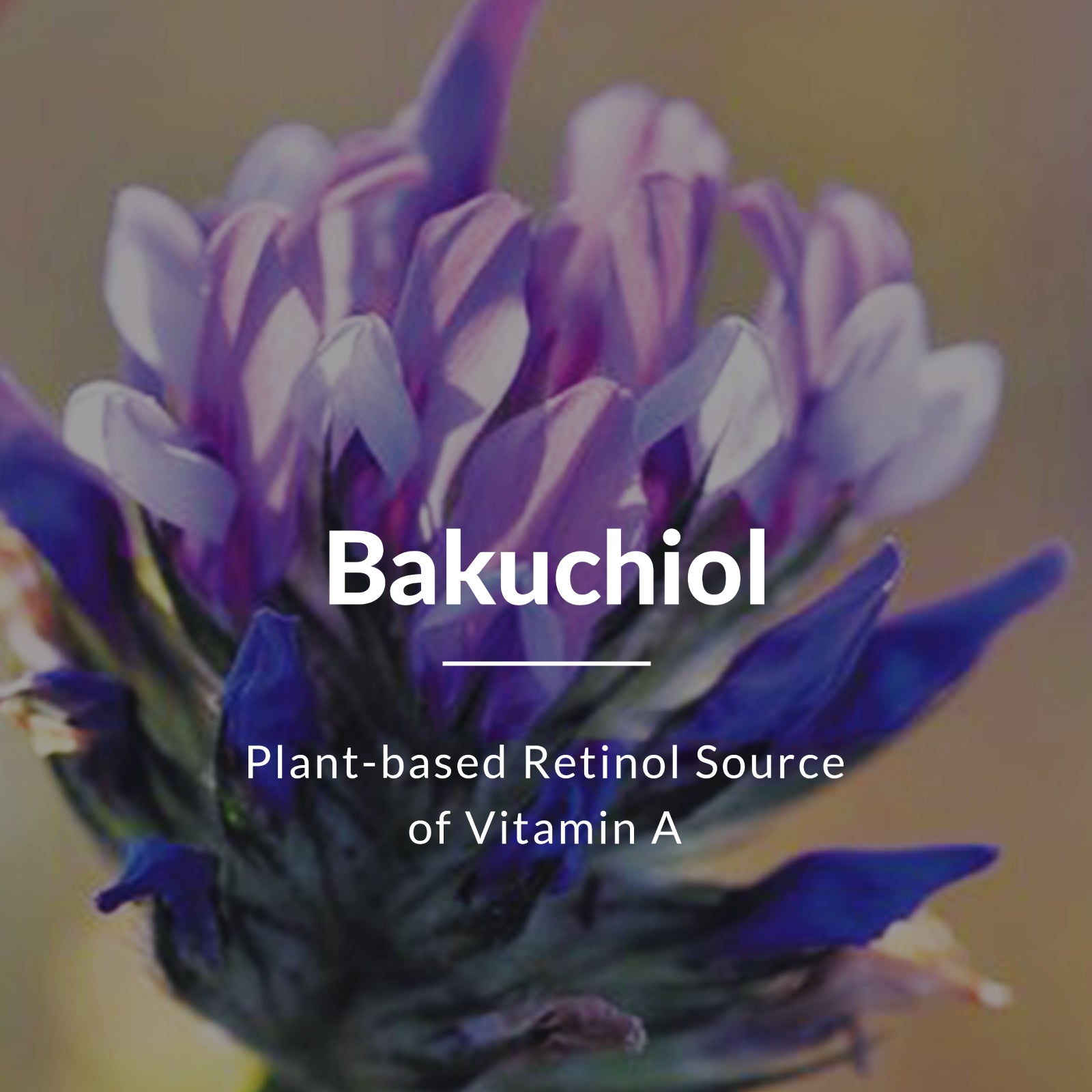 Bio-Retinol Youth Radiance Anti-Ageing Ultra Crème