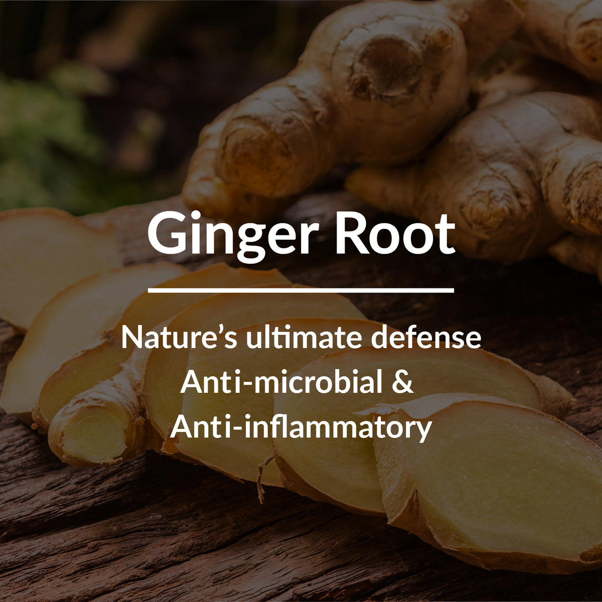 Natural hair care product with ginger root and black seed oil for effective dandruff control