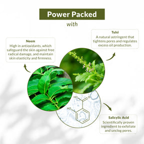 Neem Tulsi Salicylic Acid Gentle Foaming Face Wash - Cleansing and Purifying Facial Cleanser with Natural Ingredients