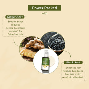 Ginger Root & Black Seed Dandruff Control Hair Oil