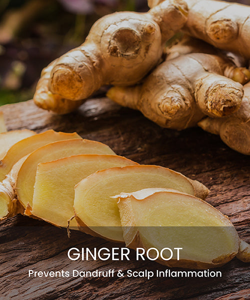 Ginger Root Hair Care Products