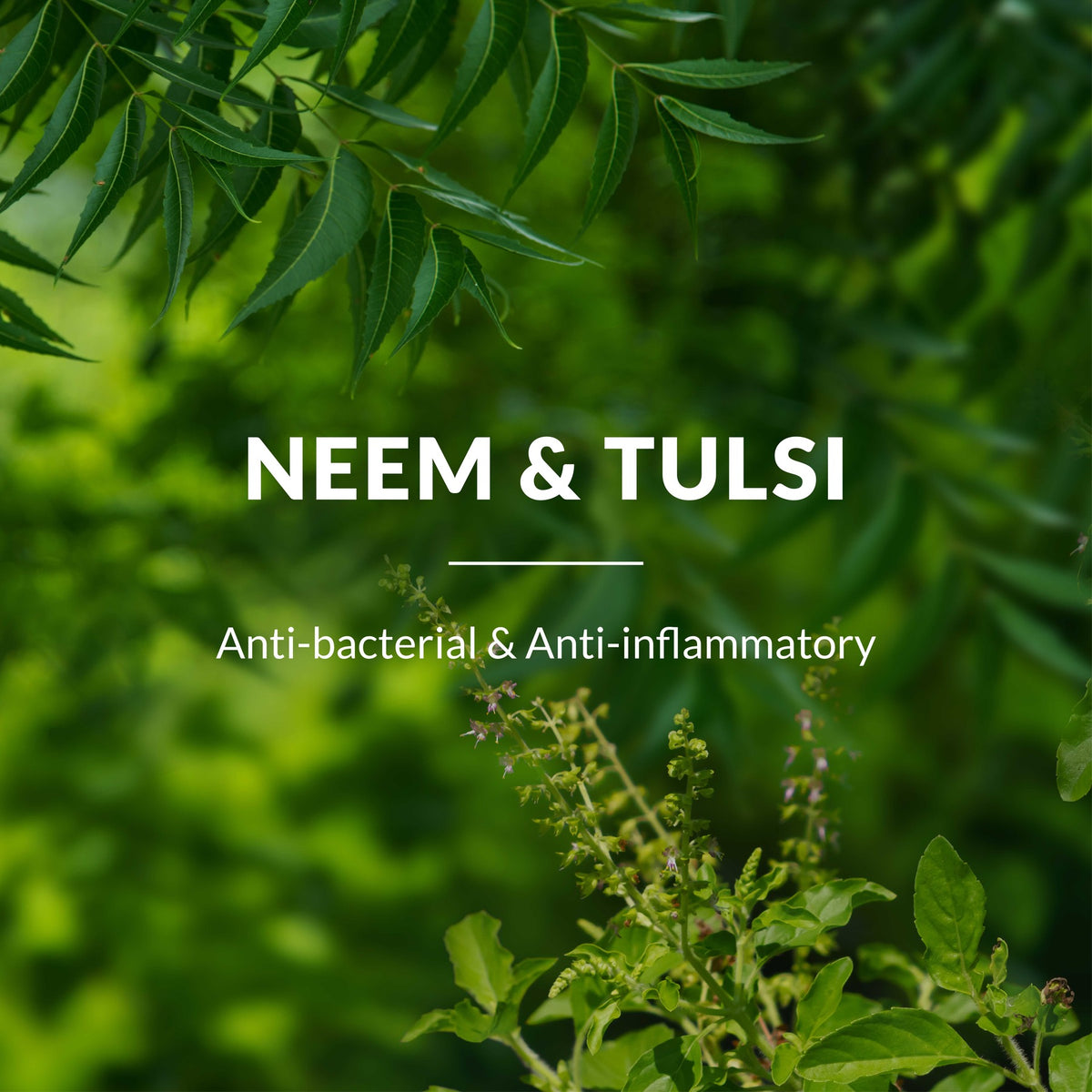 Neem, Tulsi & Salicylic Acid Anti-Acne Purifying Face Gel